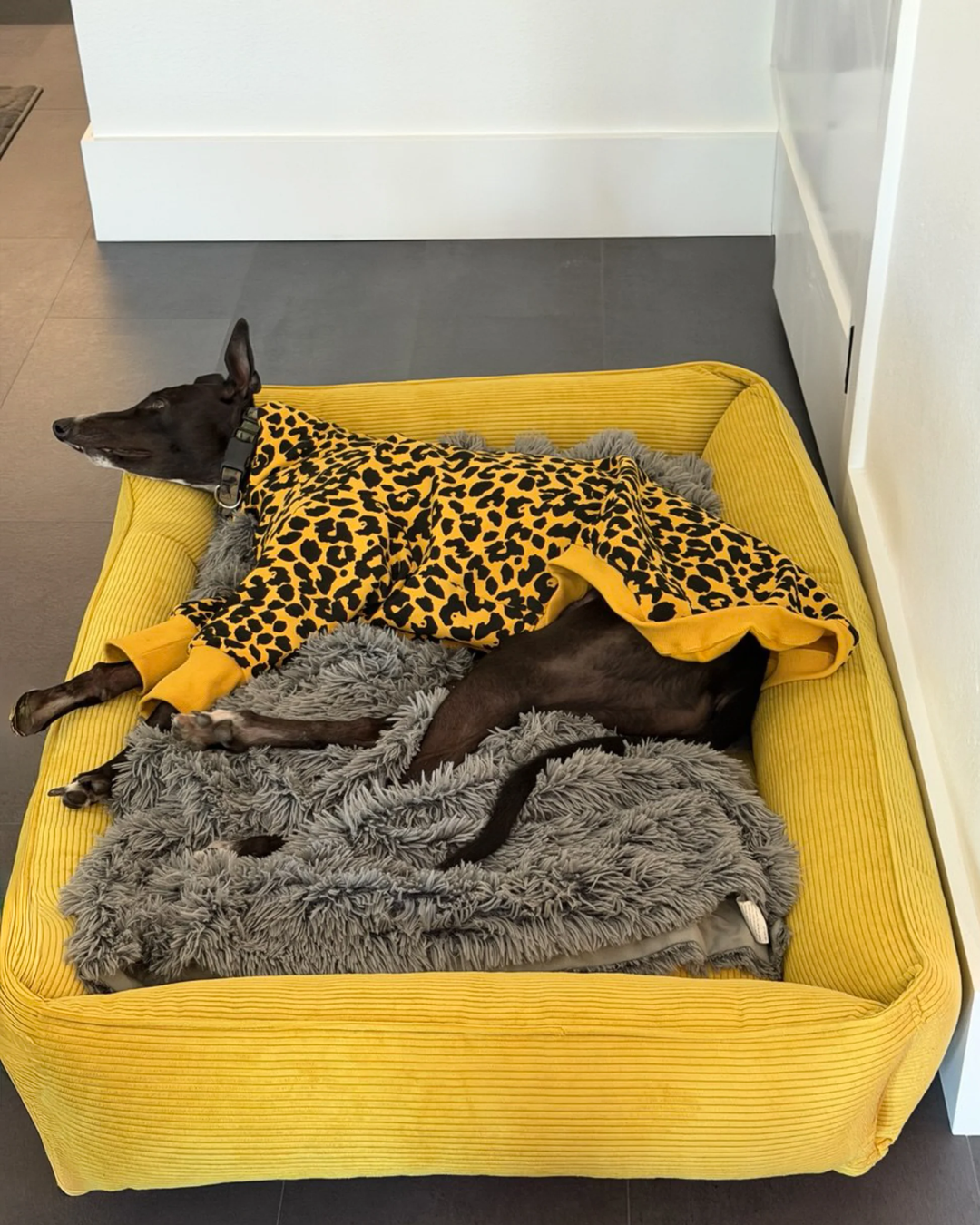 Chester & Lee | Fancy Corduroy Sleeper Dog Bed Sunny Yellow by Chester & Lee, product image 3