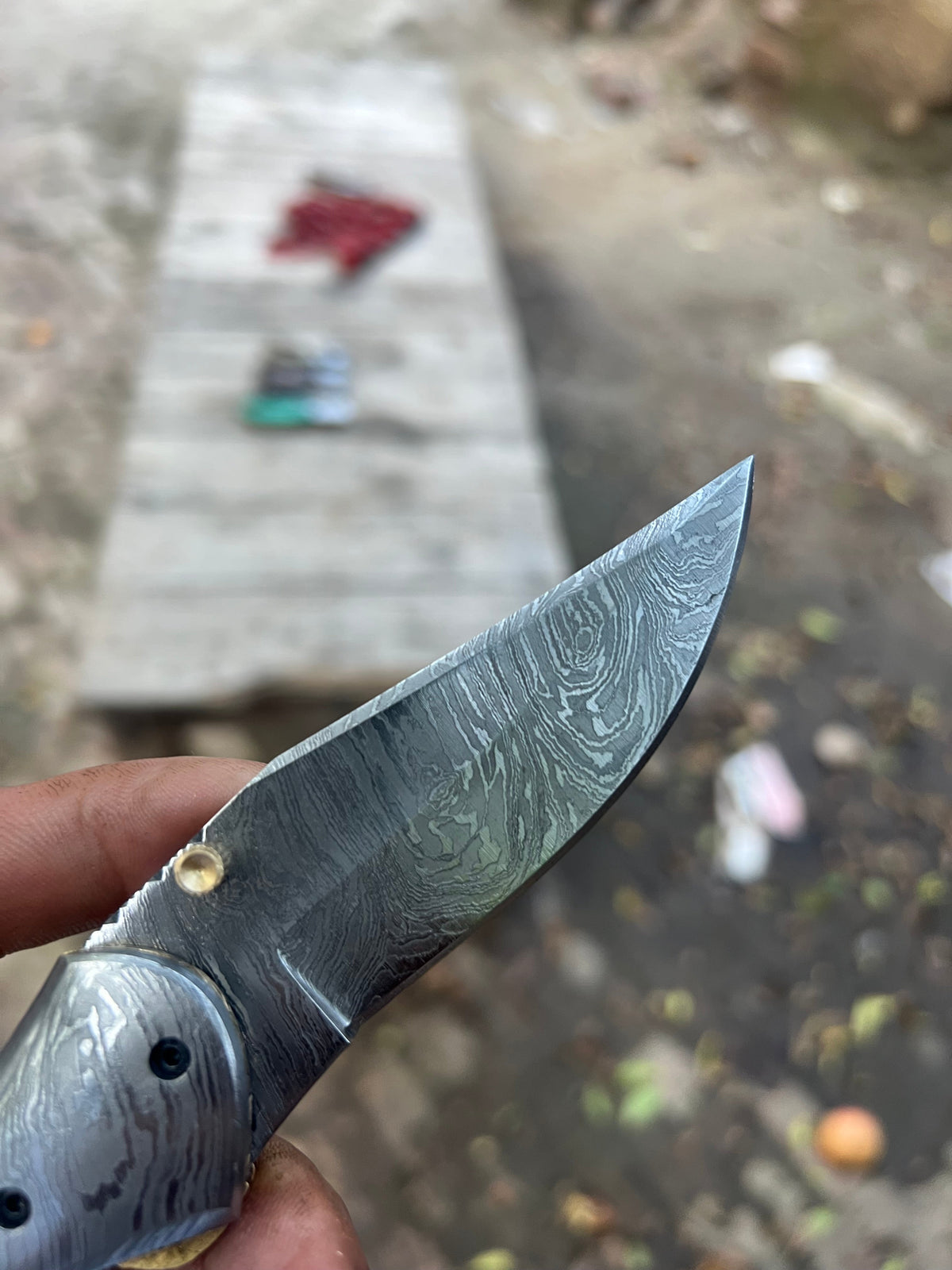 Rosewood Trail Folder Knife 6