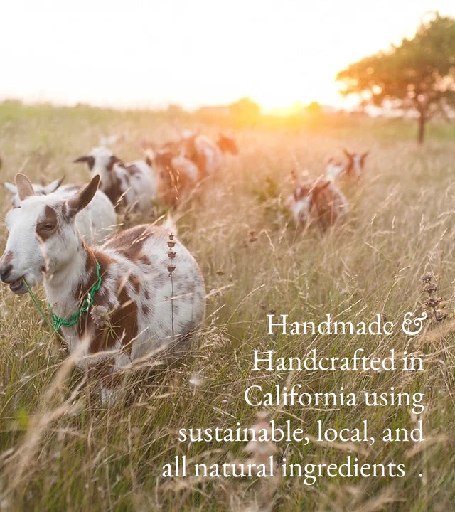 Earl Gray & Gardenia | Goat Milk Hand & Body Lotion