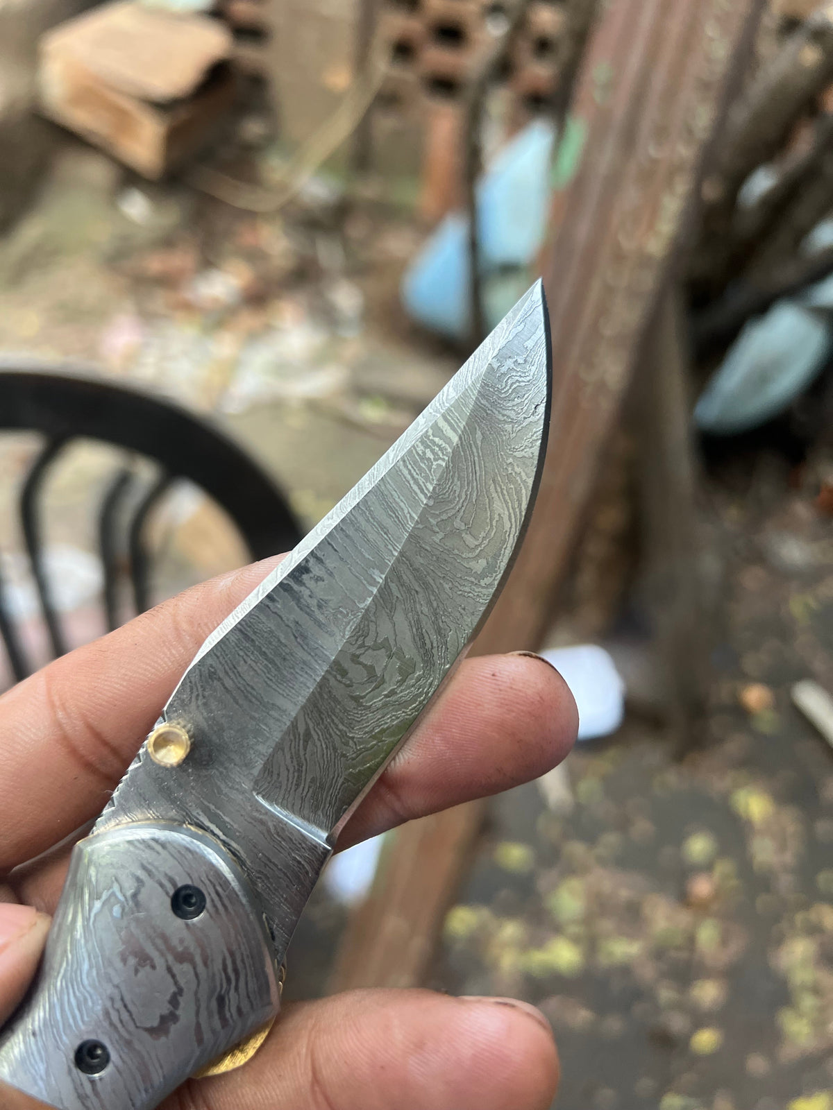 Rosewood Trail Folder Knife 6
