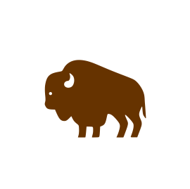 Buffalo Animal Stencil