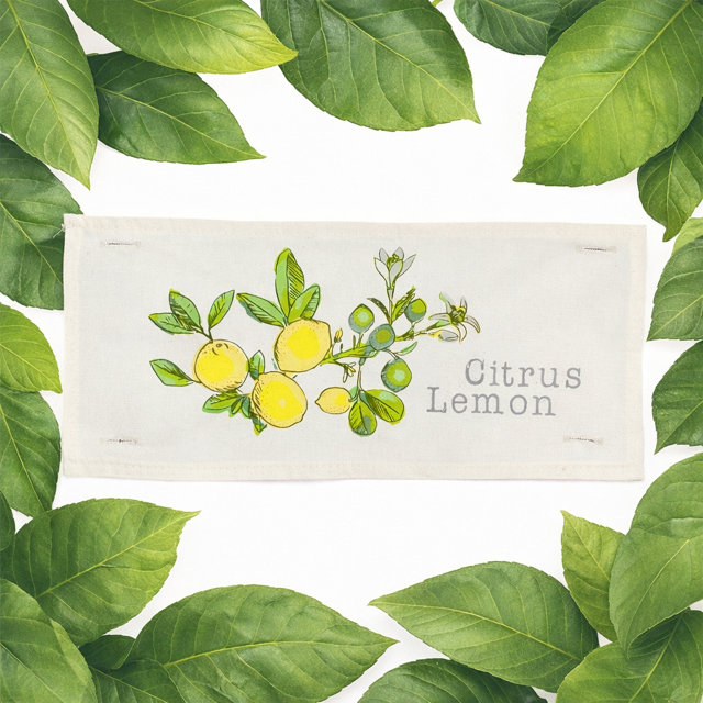 PANEL + RECIPE: RECTANGLE Summer, Lemonade Stand, Sweet, Summertime; CITRUS LEMON