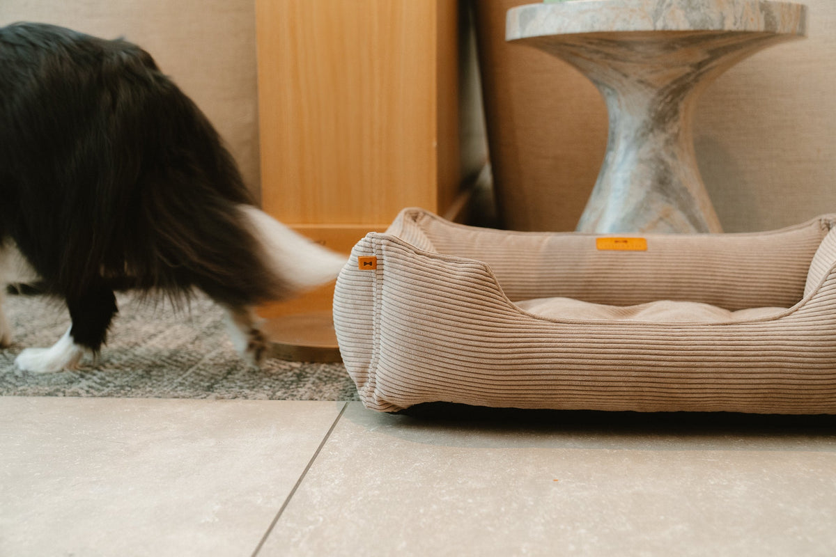 Chester & Lee | Fancy Corduroy Sleeper Dog Bed Taupe by Chester & Lee, product image 7