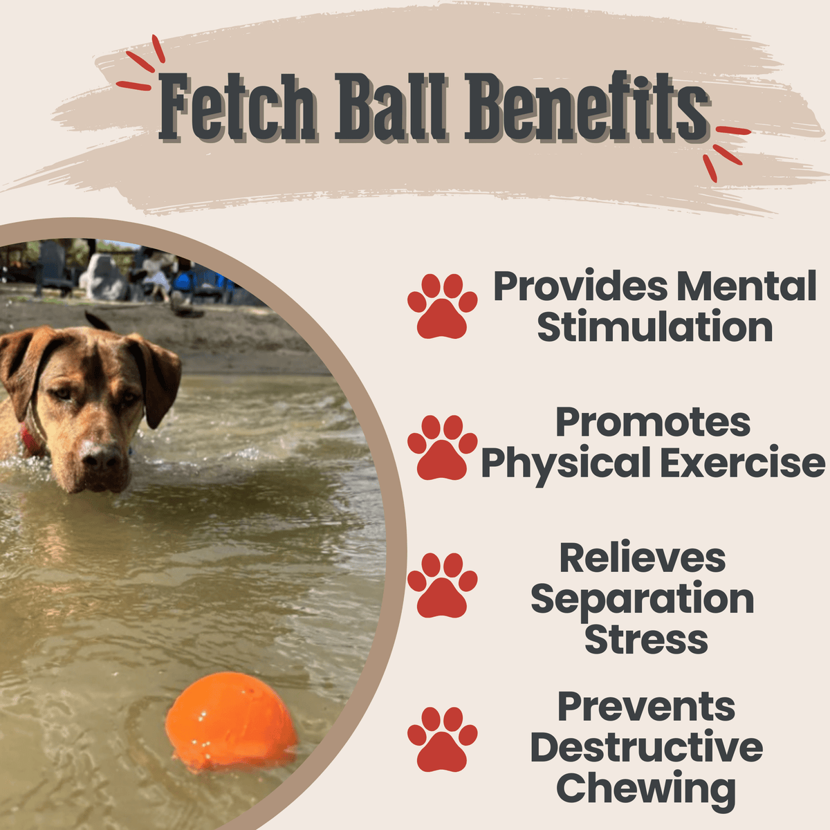 Dog Fetch Balls