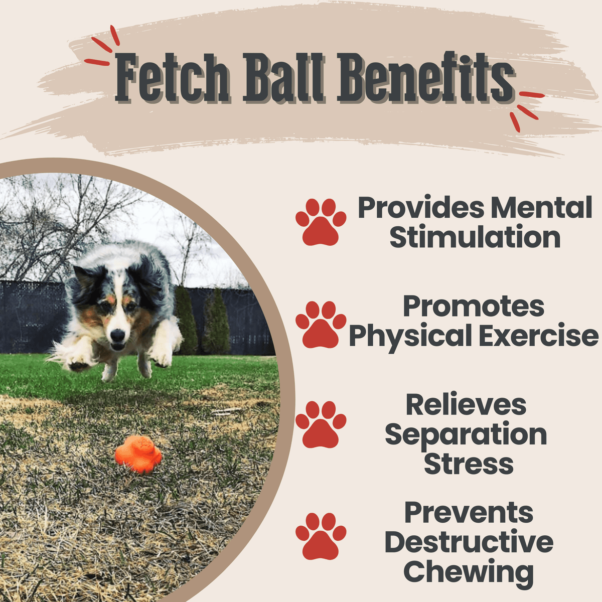 Dog Fetch Balls