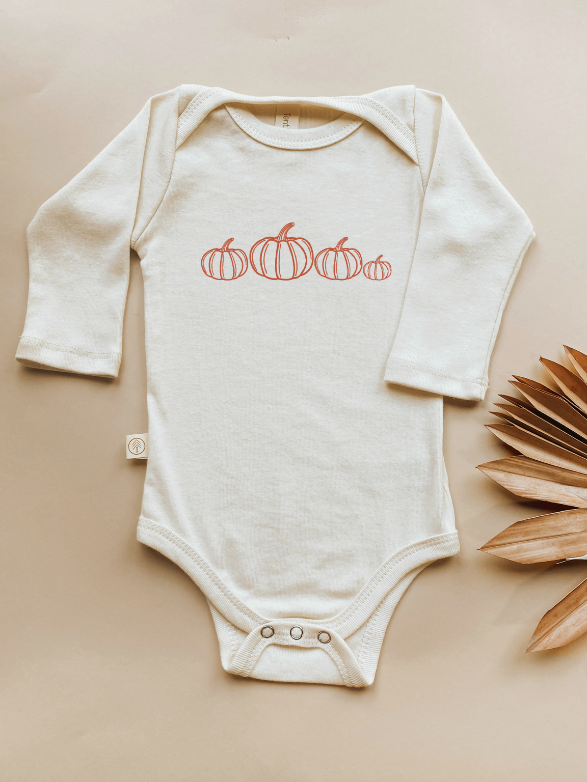 Pumpkin Patch Organic Bodysuit Long Sleeve by Tenth & Pine, product image 5