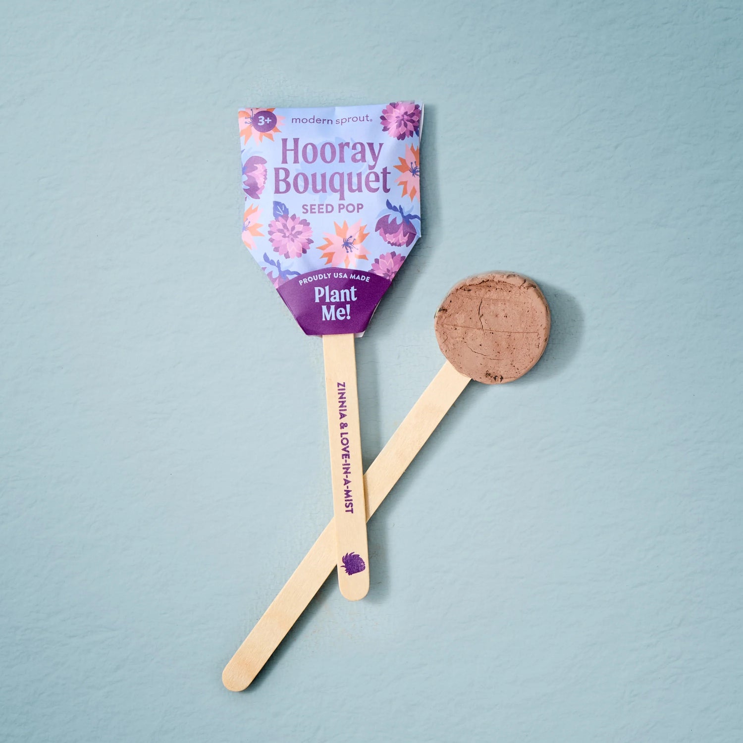 Plantable Wildflower Seed Pop Gift | Modern Sprout