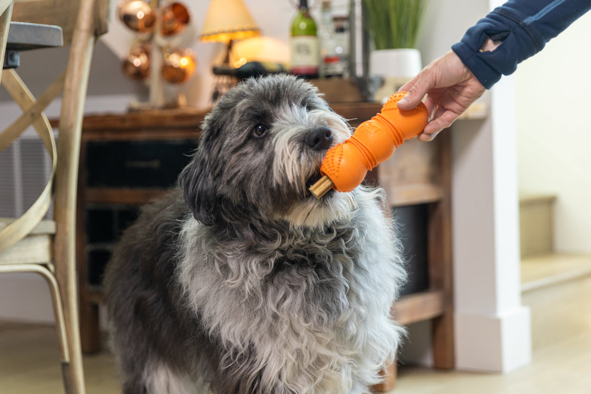 Flossr™ Dog Toy by West Paw, product image 7
