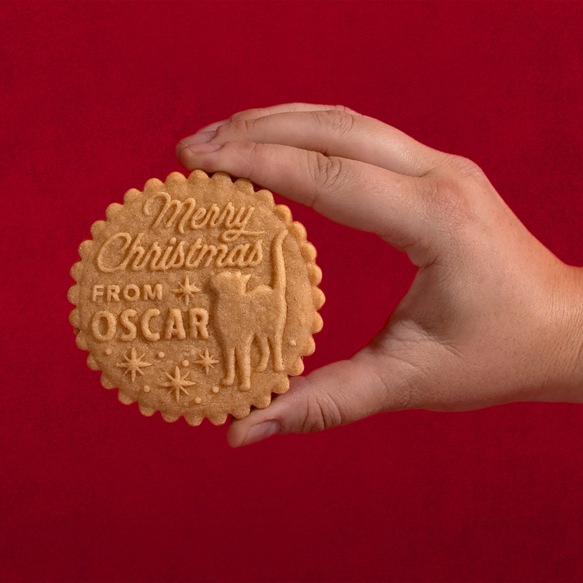 Christmas Cookie Press - Holly Jolly