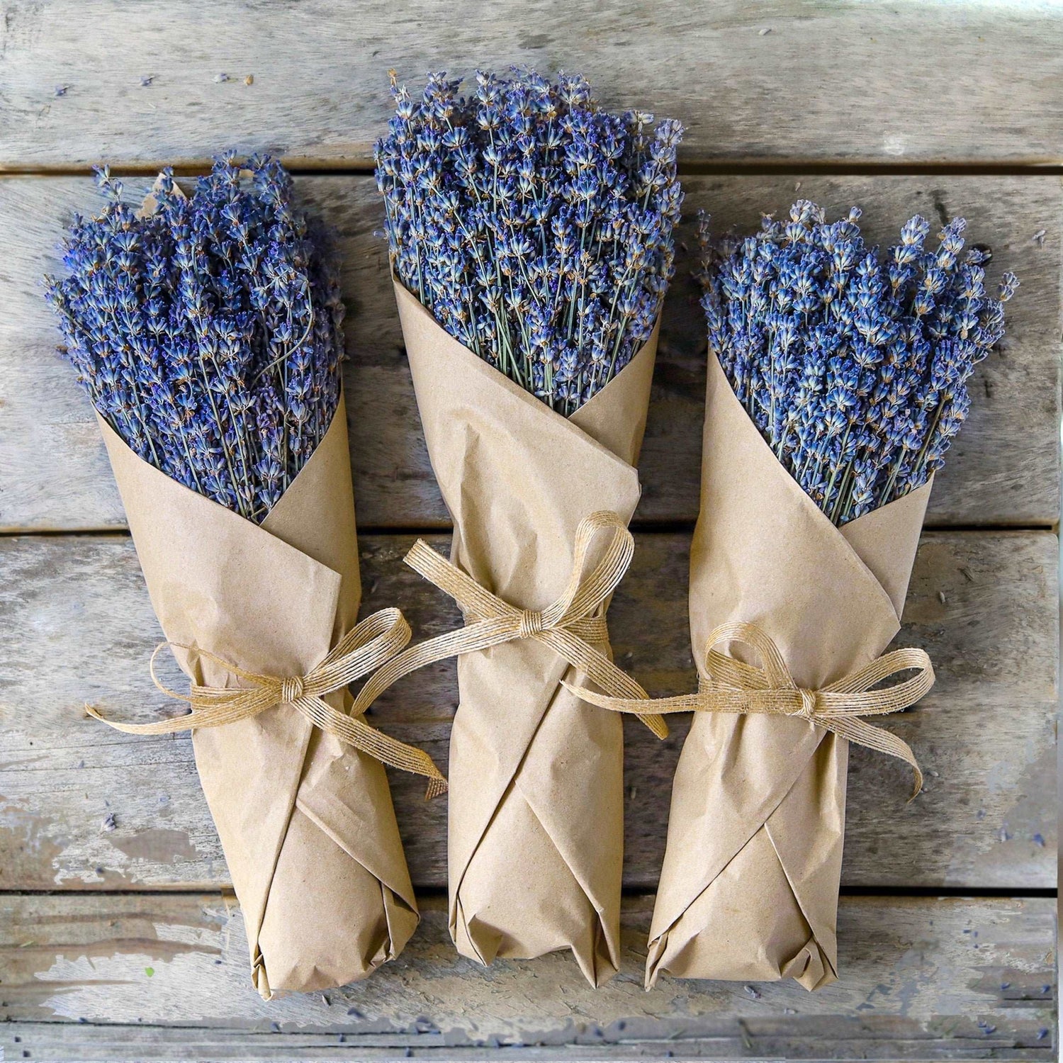 Dried Lavender Bundle – Lavender Gift for Her, Hand Wrapped California Lavender Bouquet