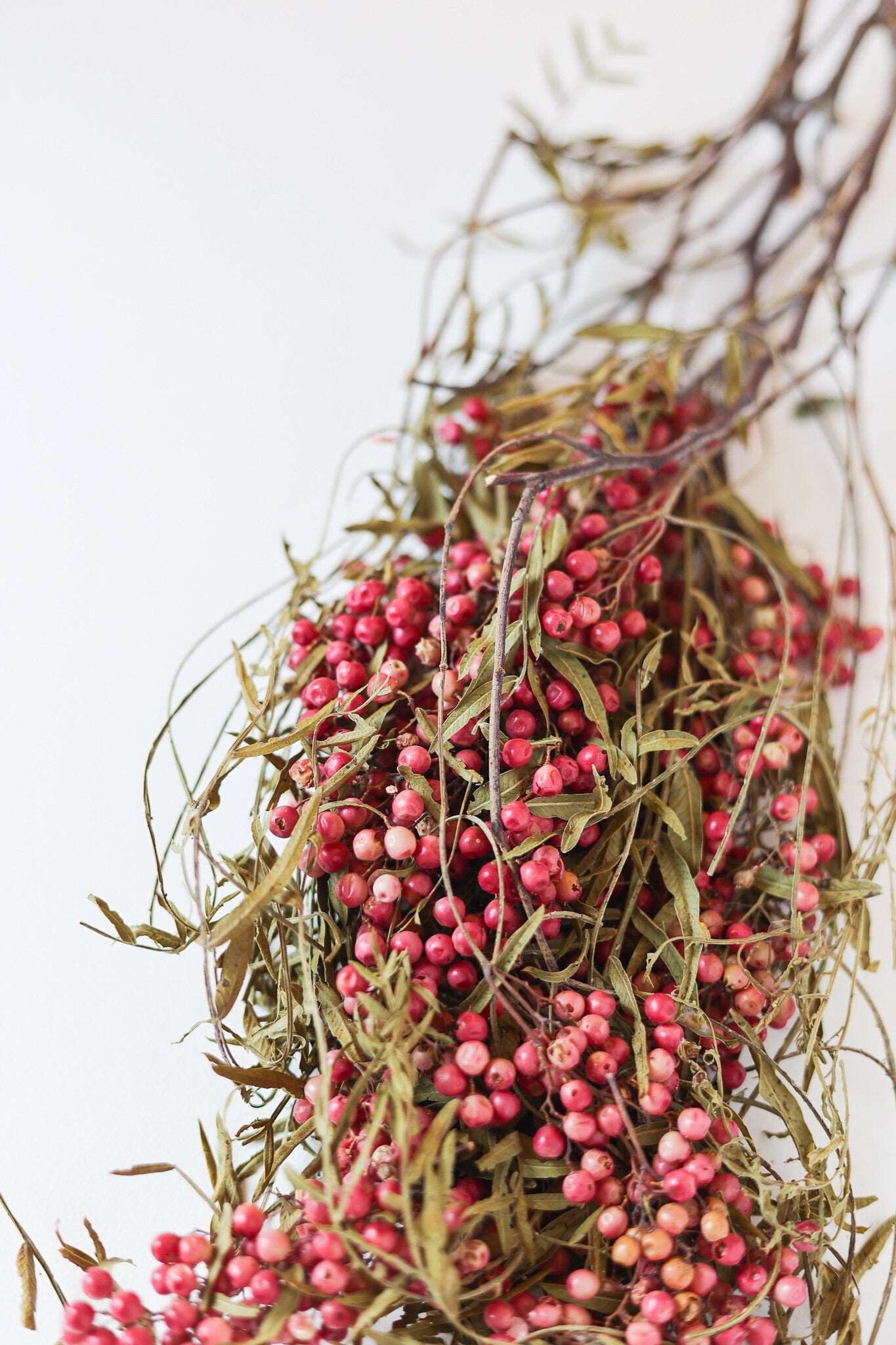 Dried Pink Pepper Berries