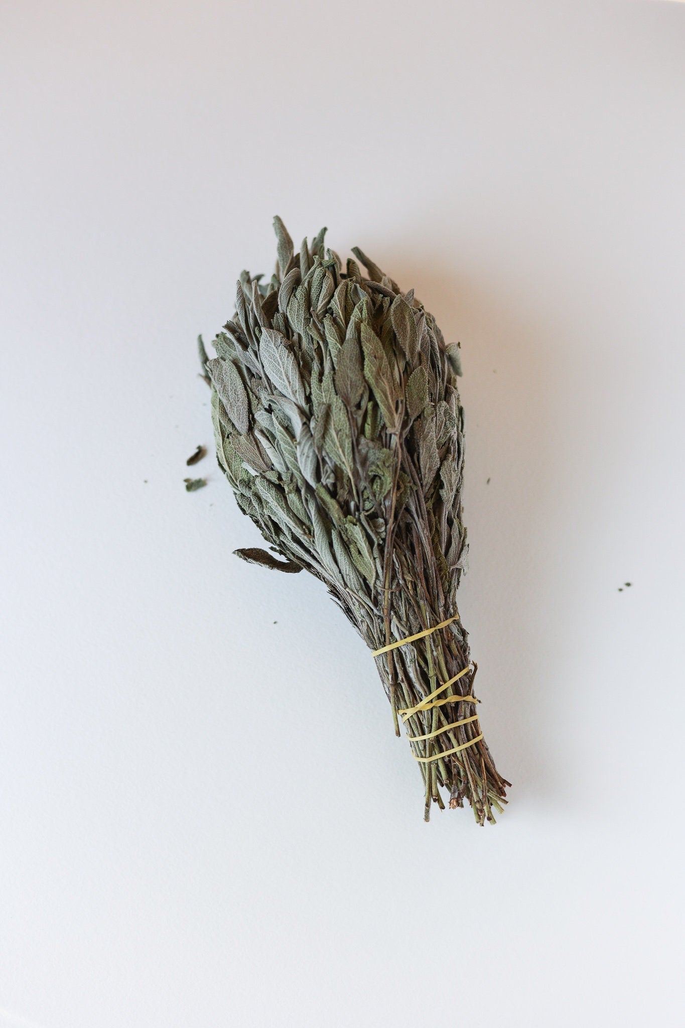 Dried Sage Bundle