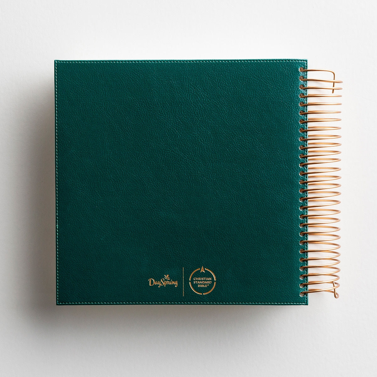 DaySpring - CSB Illustrating Journaling Bible – Green Faux Leather