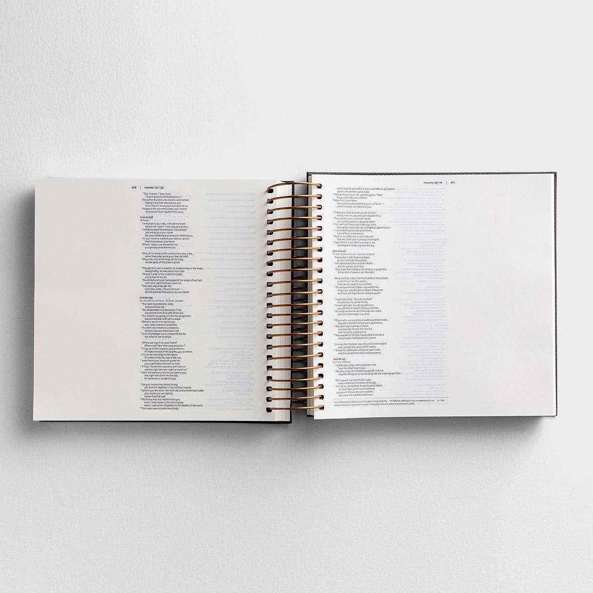 DaySpring - NIV Illustrating Journaling Bible – Dark Grey Faux Leather