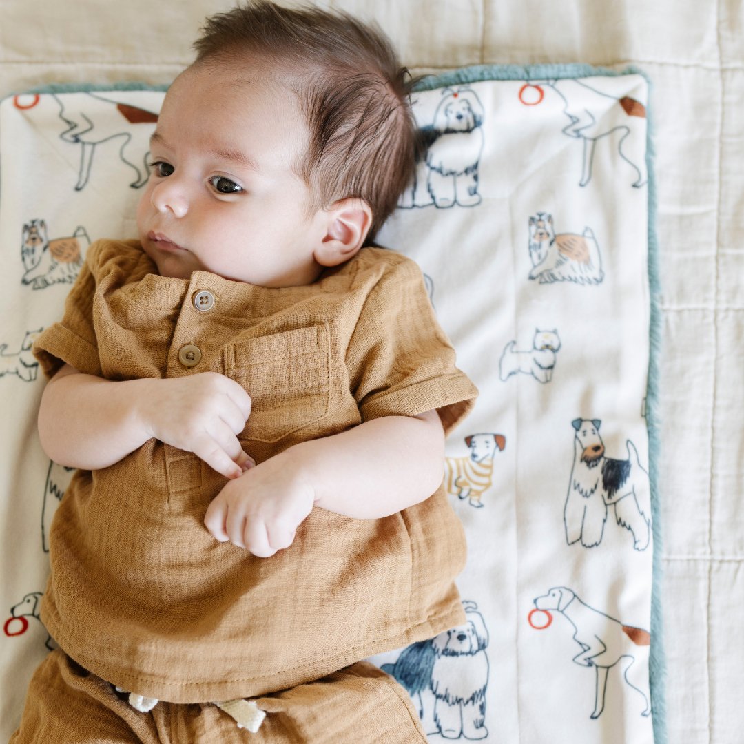 Minky/Lush Mini Blankets by Saranoni, product image 8