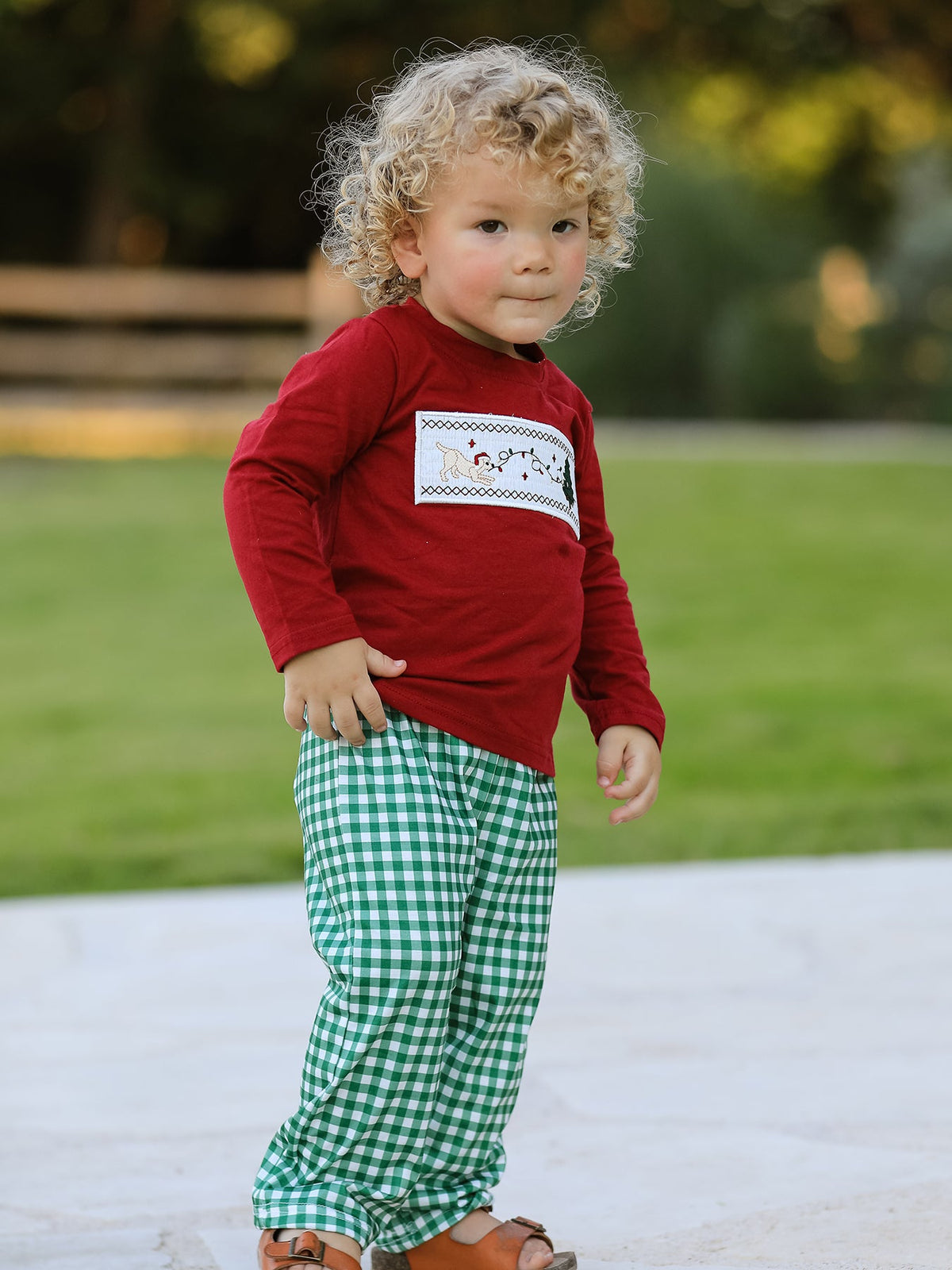 Christmas Tree Dog Smocking Embroidered Plaid Boys Set