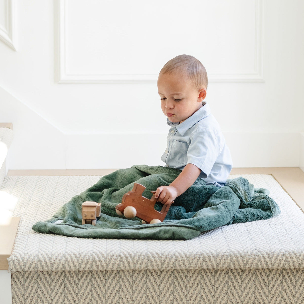 Lush Receiving Blankets by Saranoni, product image 40