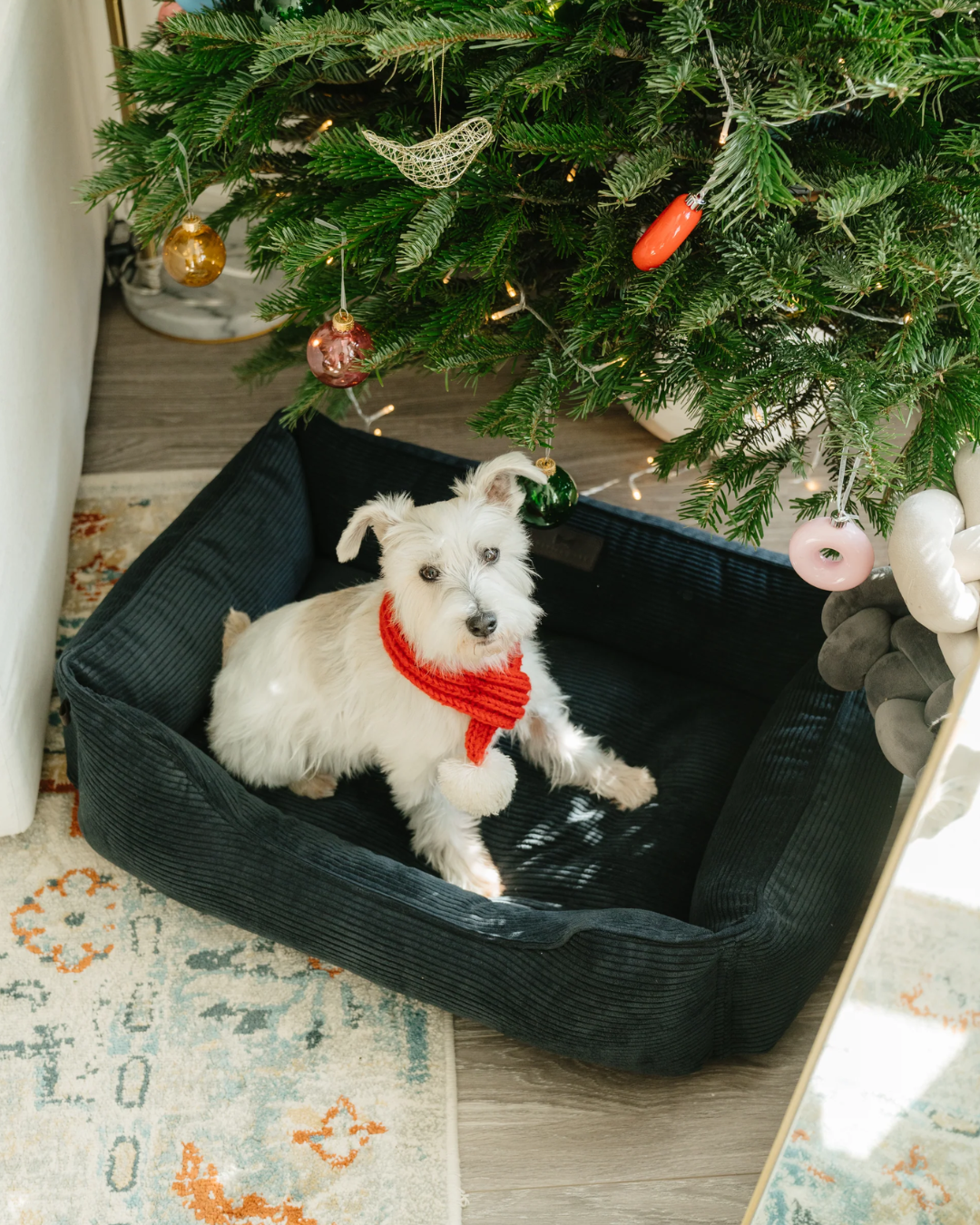 Chester & Lee | Fancy Corduroy Sleeper Dog Bed Graphite by Chester & Lee, product image 3
