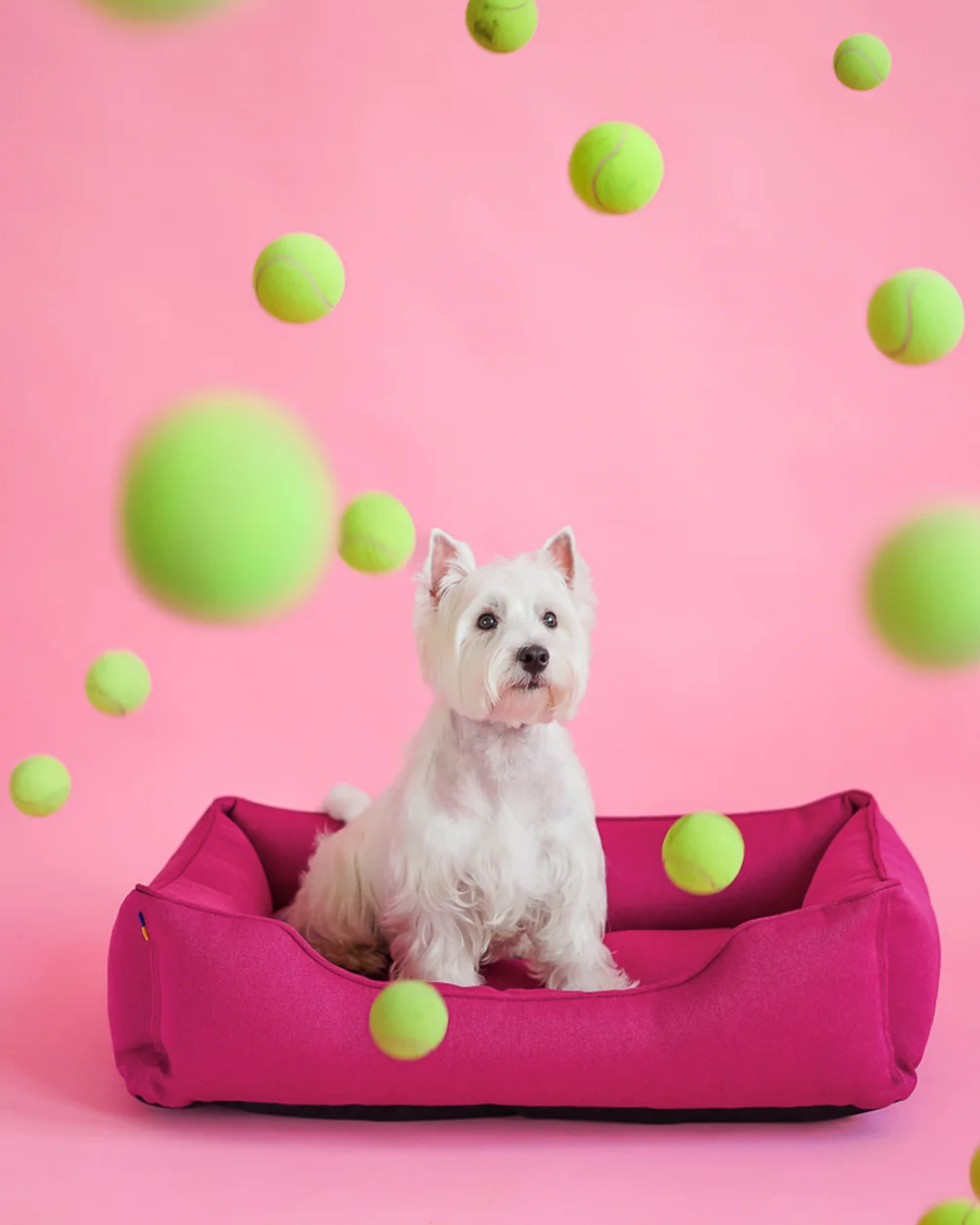 Chester & Lee | Cotton Sleeper Dog Bed Berry Pink by Chester & Lee, product image 3