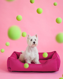 Chester & Lee | Cotton Sleeper Dog Bed Berry Pink by Chester & Lee, product image 3