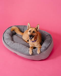 Chester & Lee | Furry Bagel Dog Bed by Chester & Lee, product image 3