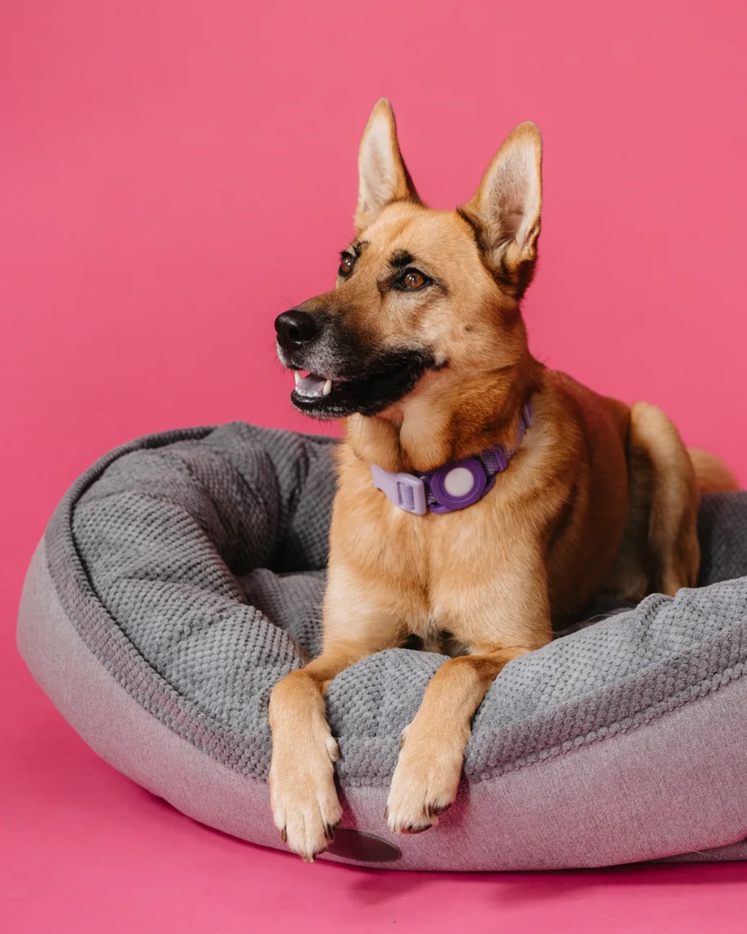 Chester & Lee | Furry Bagel Dog Bed by Chester & Lee, product image 4