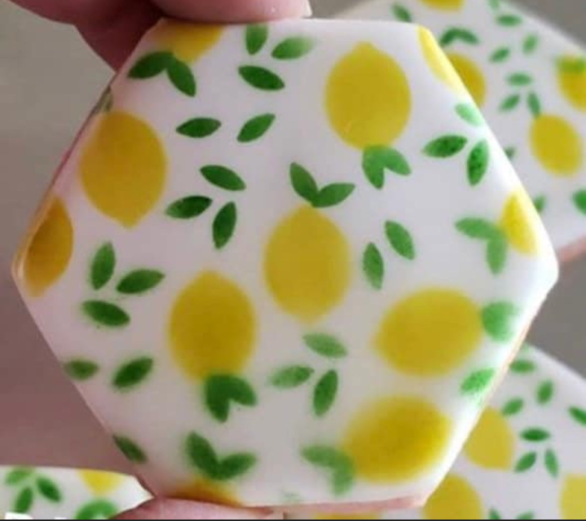 Leafy Lemon Stencil Set