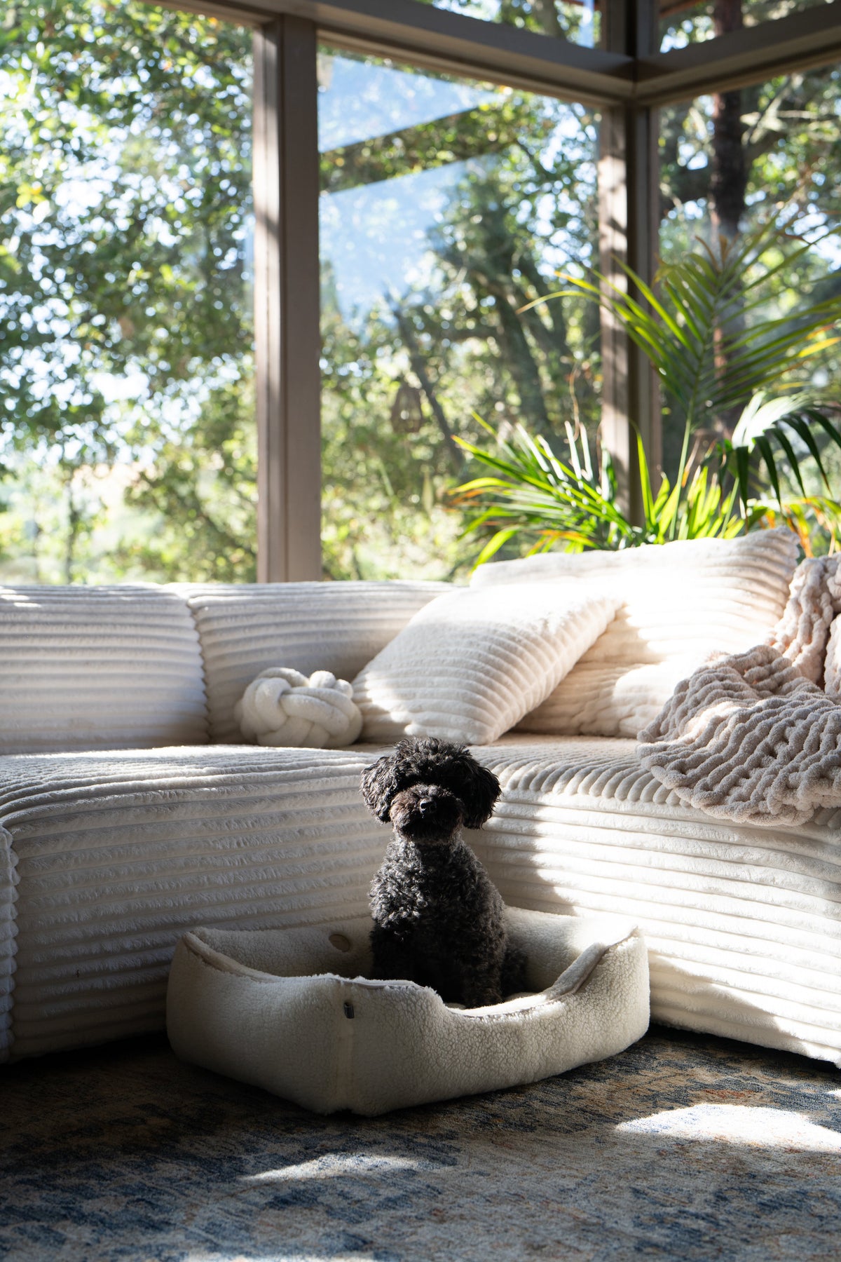 Chester & Lee | Furry Sleeper Dog Bed Beige by Chester & Lee, product image 5