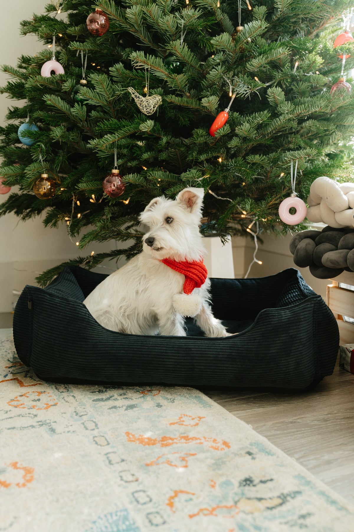 Chester & Lee | Fancy Corduroy Sleeper Dog Bed Graphite by Chester & Lee, product image 4