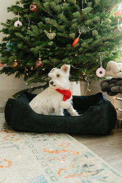Chester & Lee | Fancy Corduroy Sleeper Dog Bed Graphite by Chester & Lee, product image 4