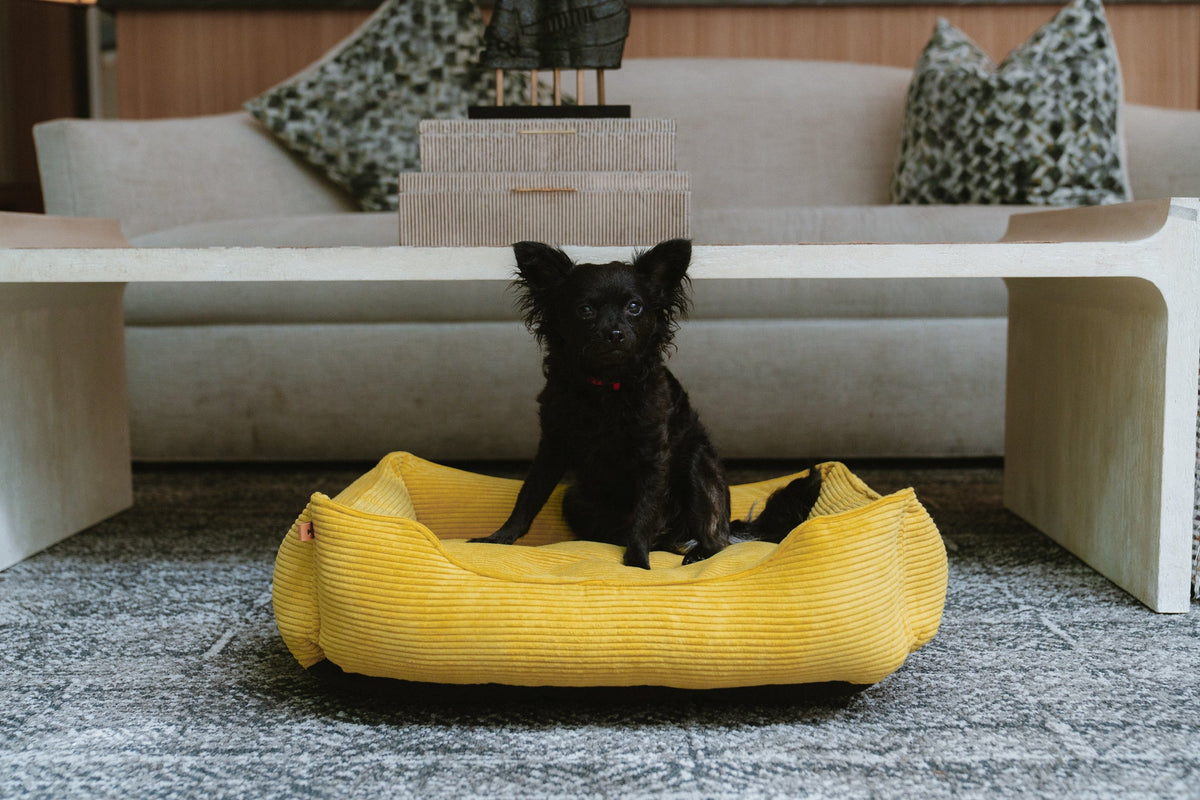 Chester & Lee | Fancy Corduroy Sleeper Dog Bed Sunny Yellow by Chester & Lee, product image 7