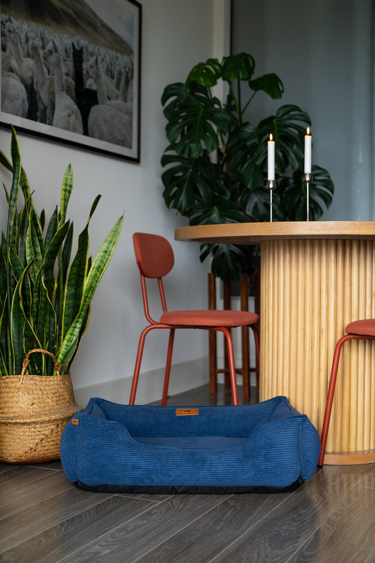 Chester & Lee | Fancy Corduroy Sleeper Dog Bed Blue by Chester & Lee, product image 6