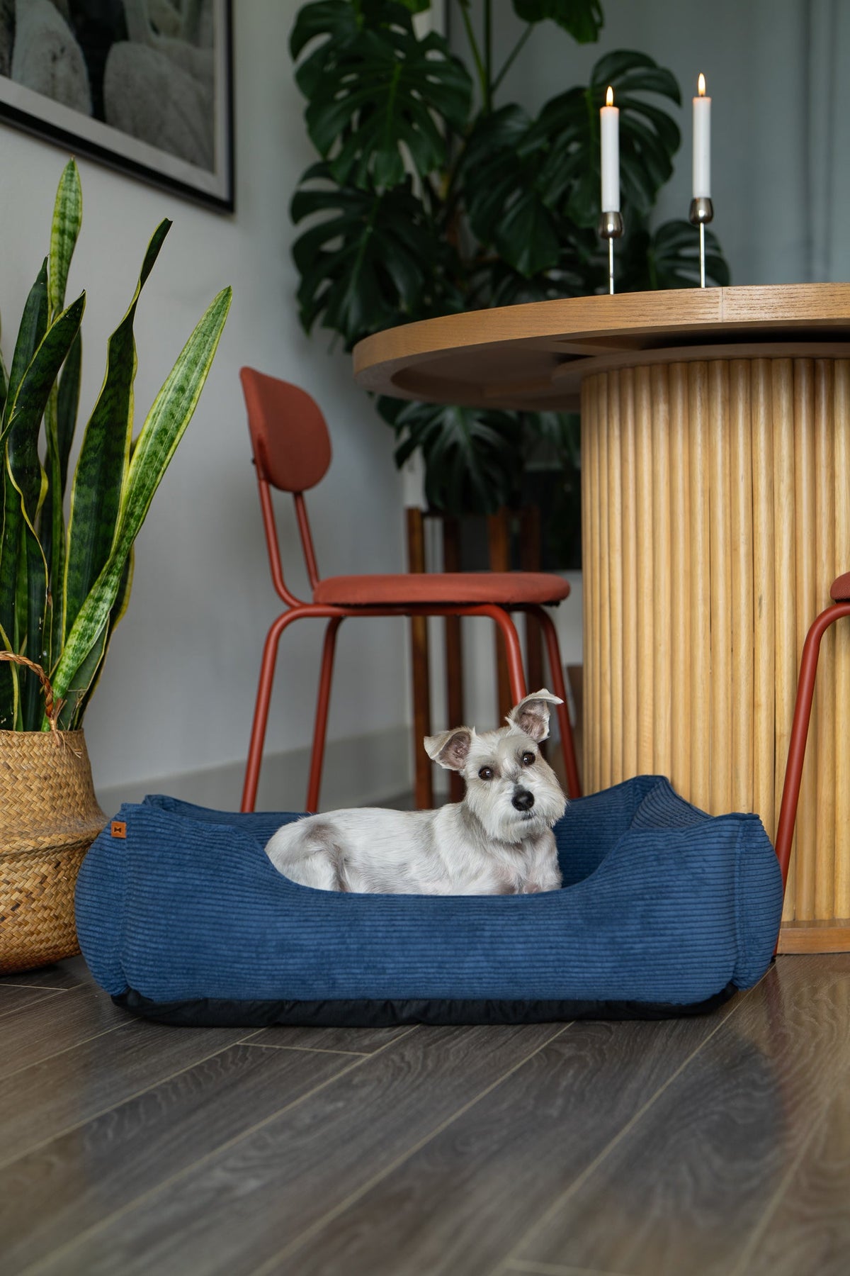 Chester & Lee | Fancy Corduroy Sleeper Dog Bed by Chester & Lee, product image 8