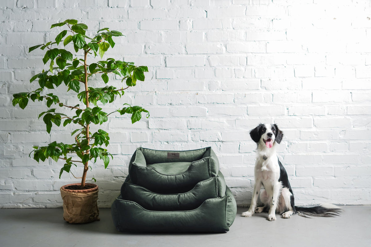 Chester & Lee | Classic Velvet Sleeper Dog Bed Green by Chester & Lee, product image 7