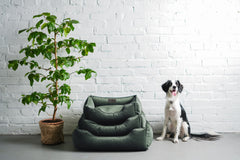 Chester & Lee | Classic Velvet Sleeper Dog Bed Green by Chester & Lee, product image 7