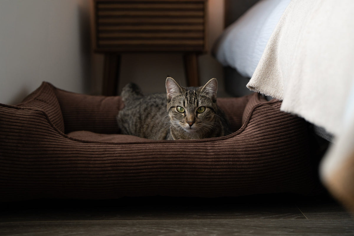 Chester & Lee | Fancy Corduroy Sleeper Dog Bed Brown by Chester & Lee, product image 6