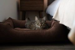 Chester & Lee | Fancy Corduroy Sleeper Dog Bed Brown by Chester & Lee, product image 6