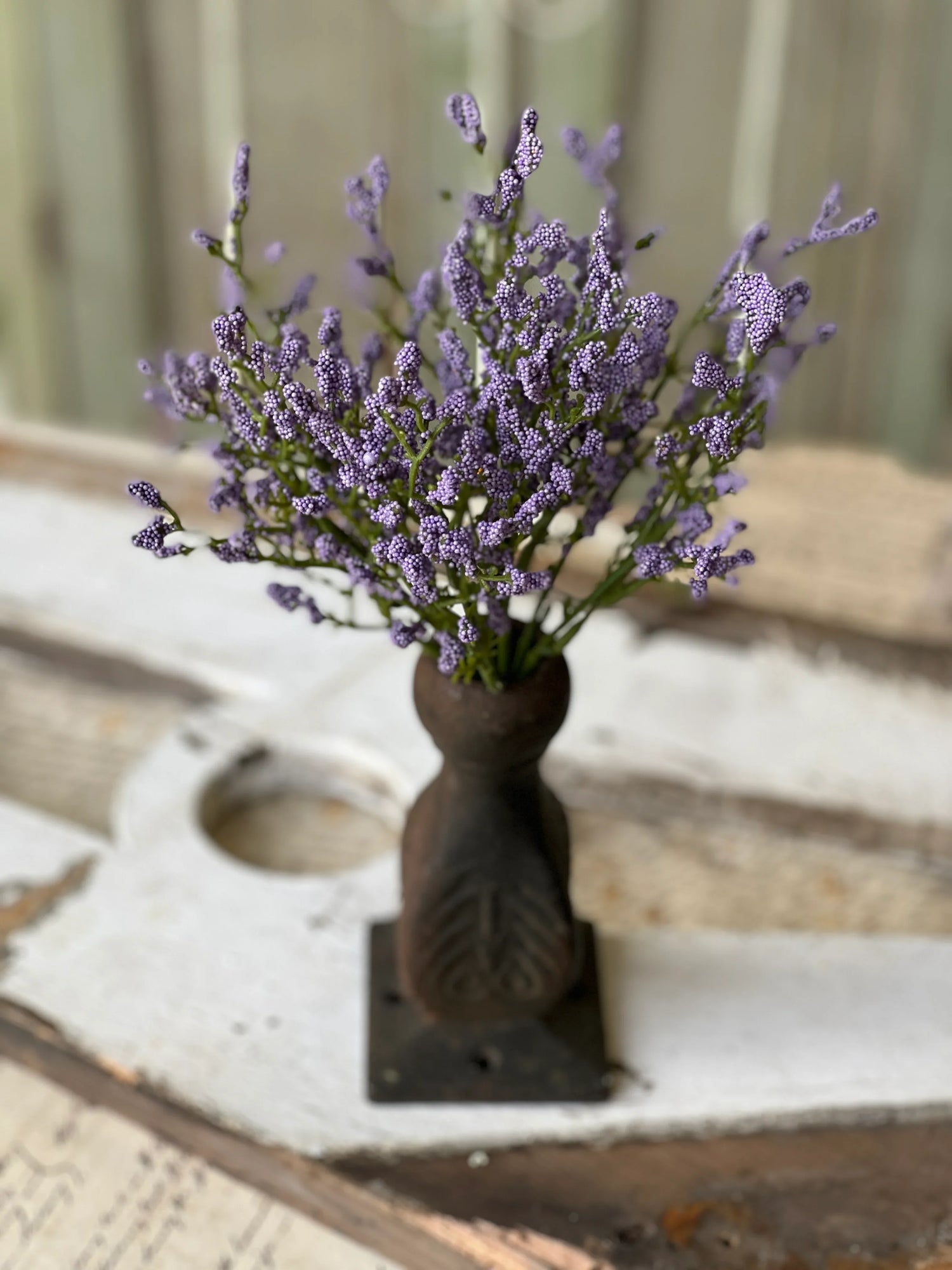 Purple Array Astilbe Bush