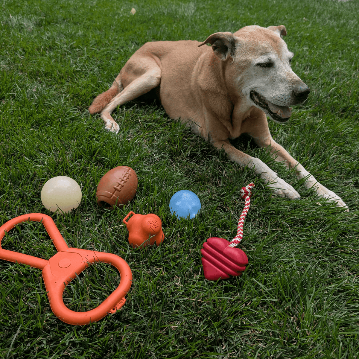 Dog Fetch Balls
