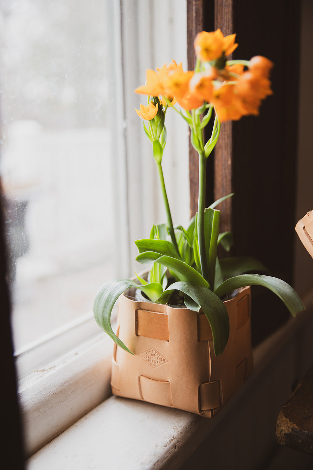 Leather Tabletop Planter  - USA Made