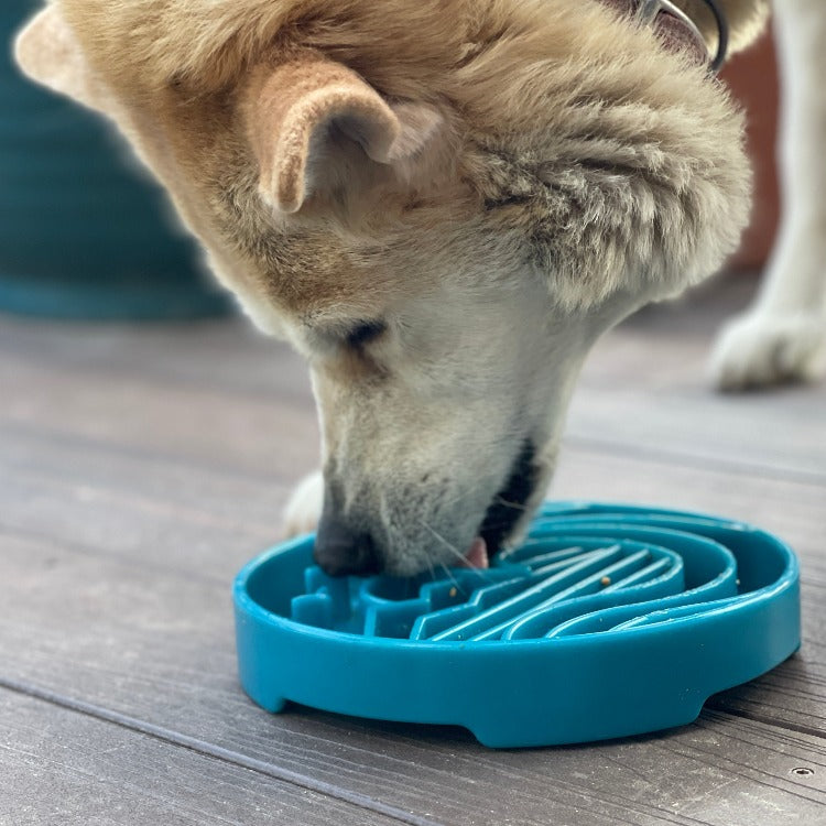 Baja Design eTray - Shallow Slow Feeder Dog Bowl for Enrichment | USA Made by SodaPup/True Dogs, LLC, product image 8