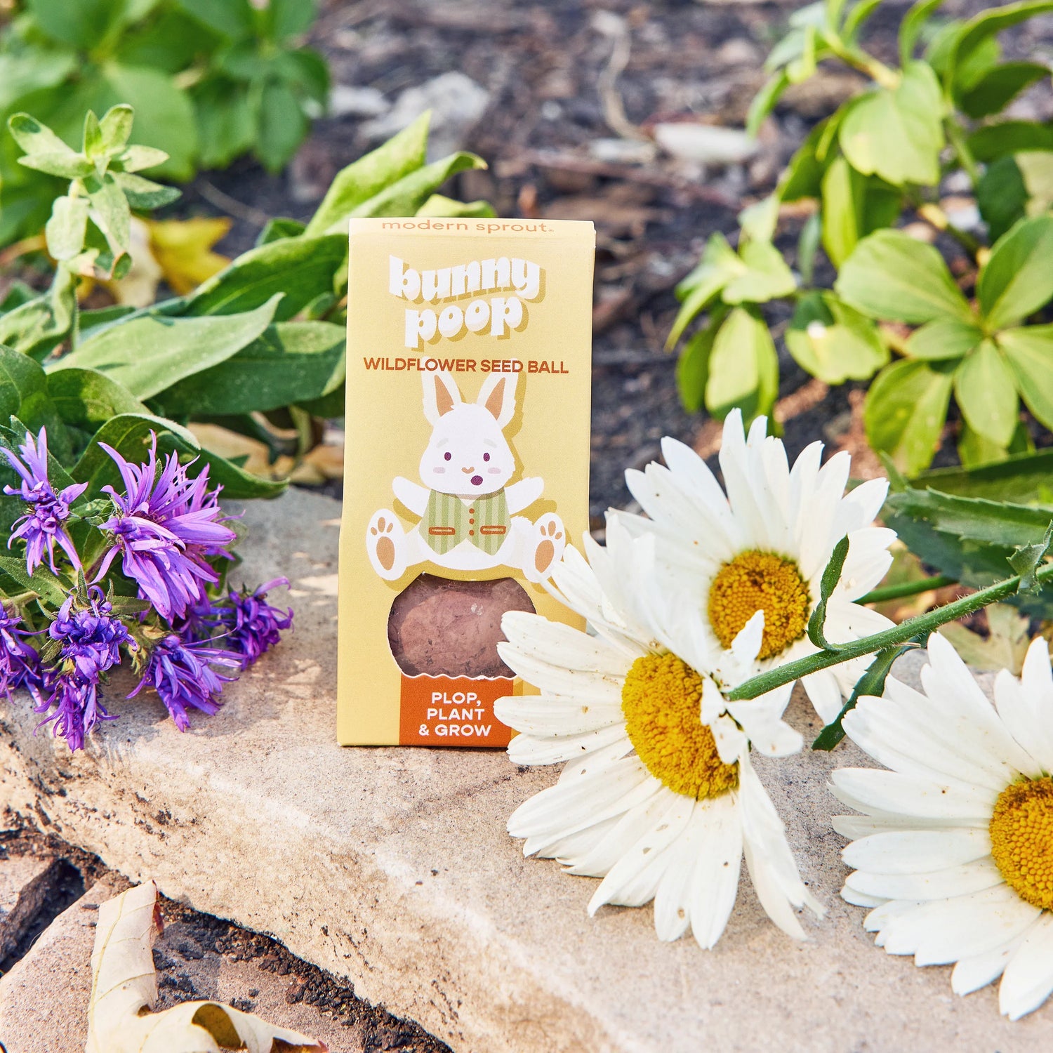 Easter Wildflower Plop Seed Ball | Modern Sprout