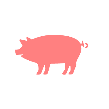 Pig Cookie Stencil