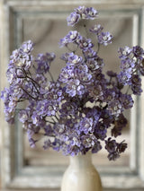 Pink & Purple Skyler Flower Bush