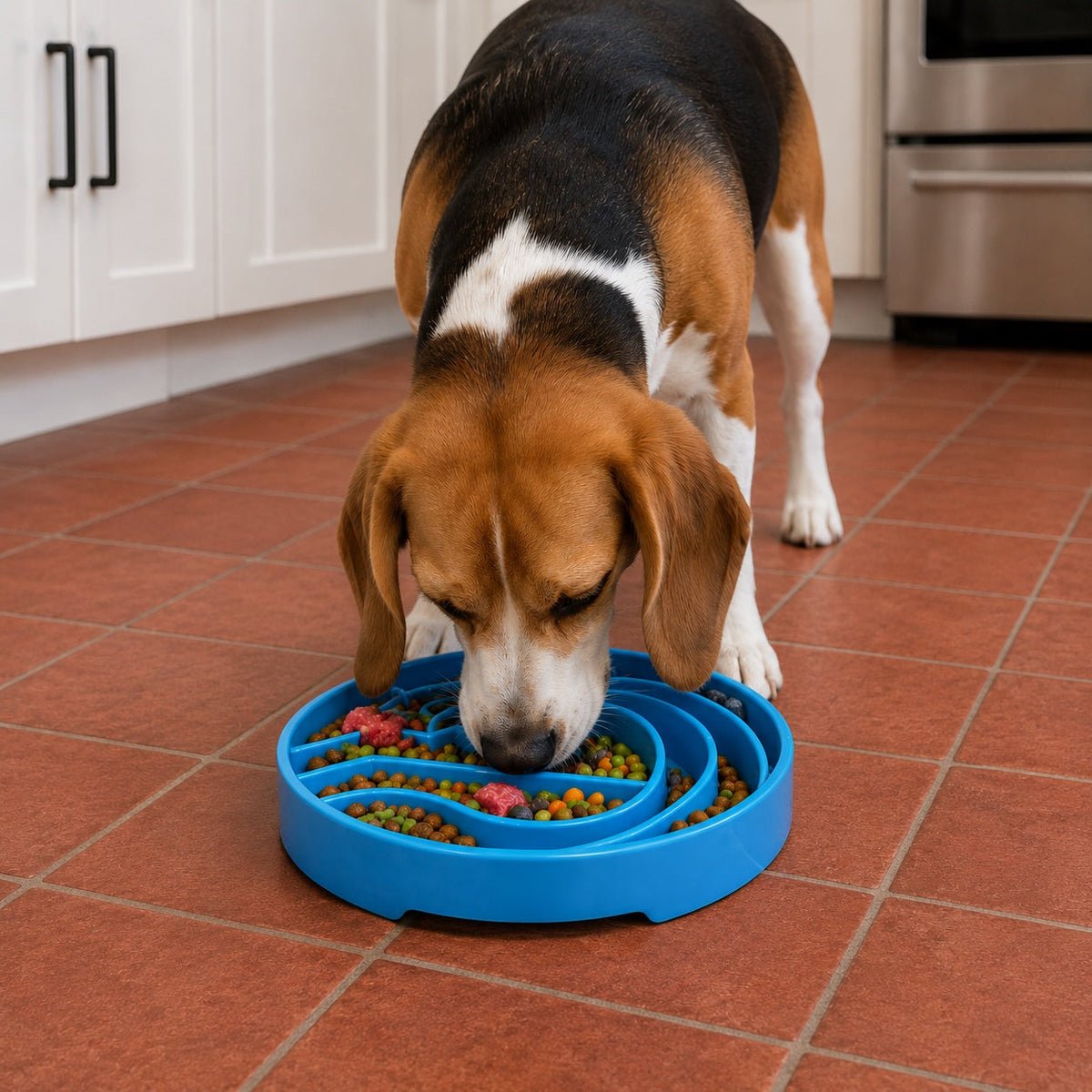 Baja Design eTray - Shallow Slow Feeder Dog Bowl for Enrichment | USA Made by SodaPup/True Dogs, LLC, product image 10