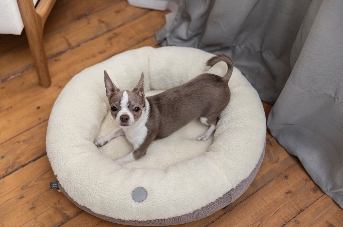 Chester & Lee | Furry Beige Donut Dog Bed by Chester & Lee, product image 4