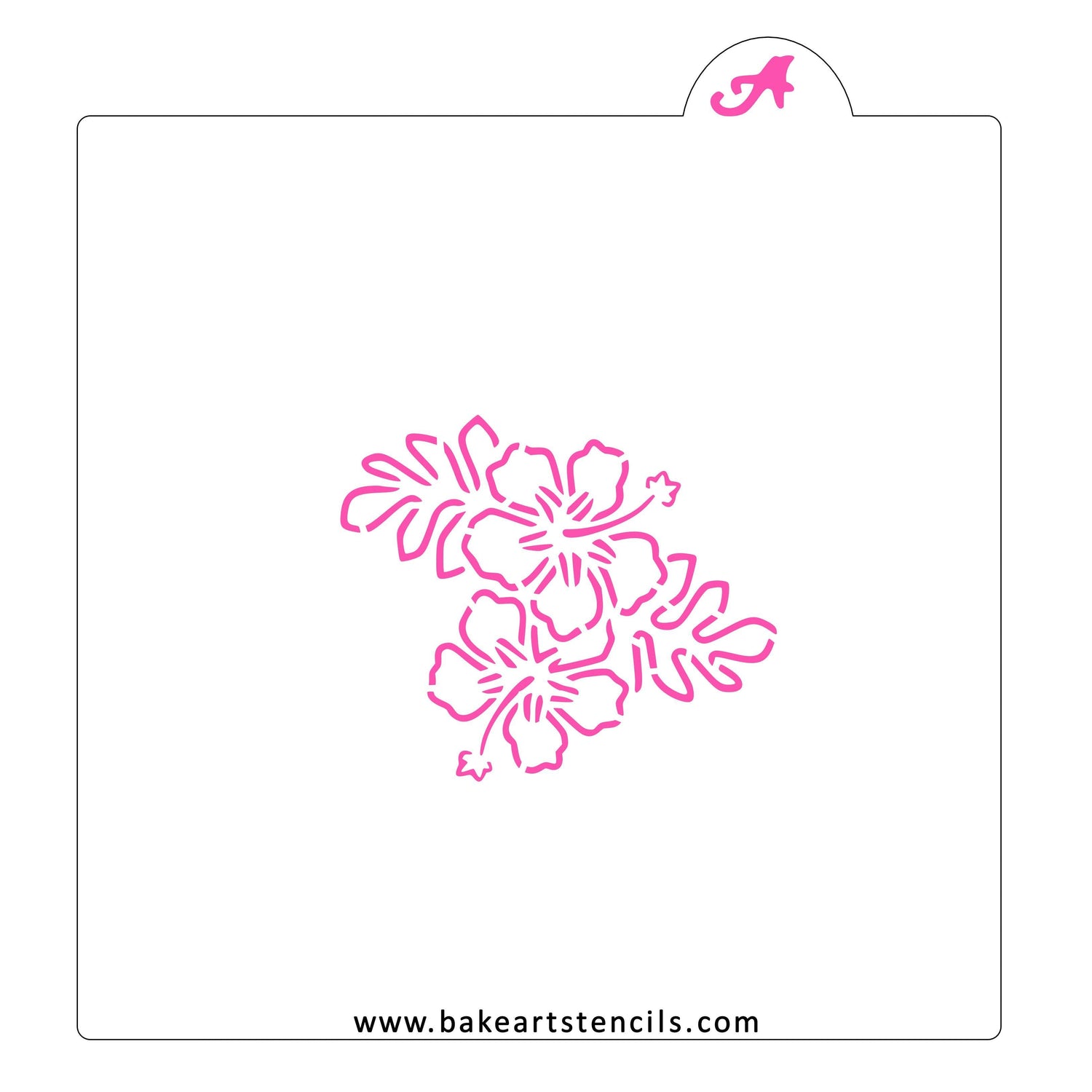Tropical Flowers PYO Cookie Stencil