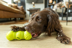 Flossr™ Dog Toy by West Paw, product image 6