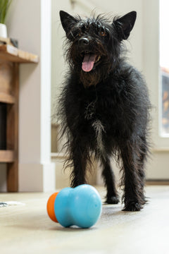 Toppl Treat by West Paw, product image 9