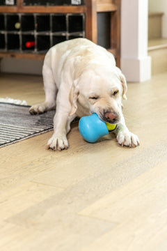 Toppl Treat by West Paw, product image 10